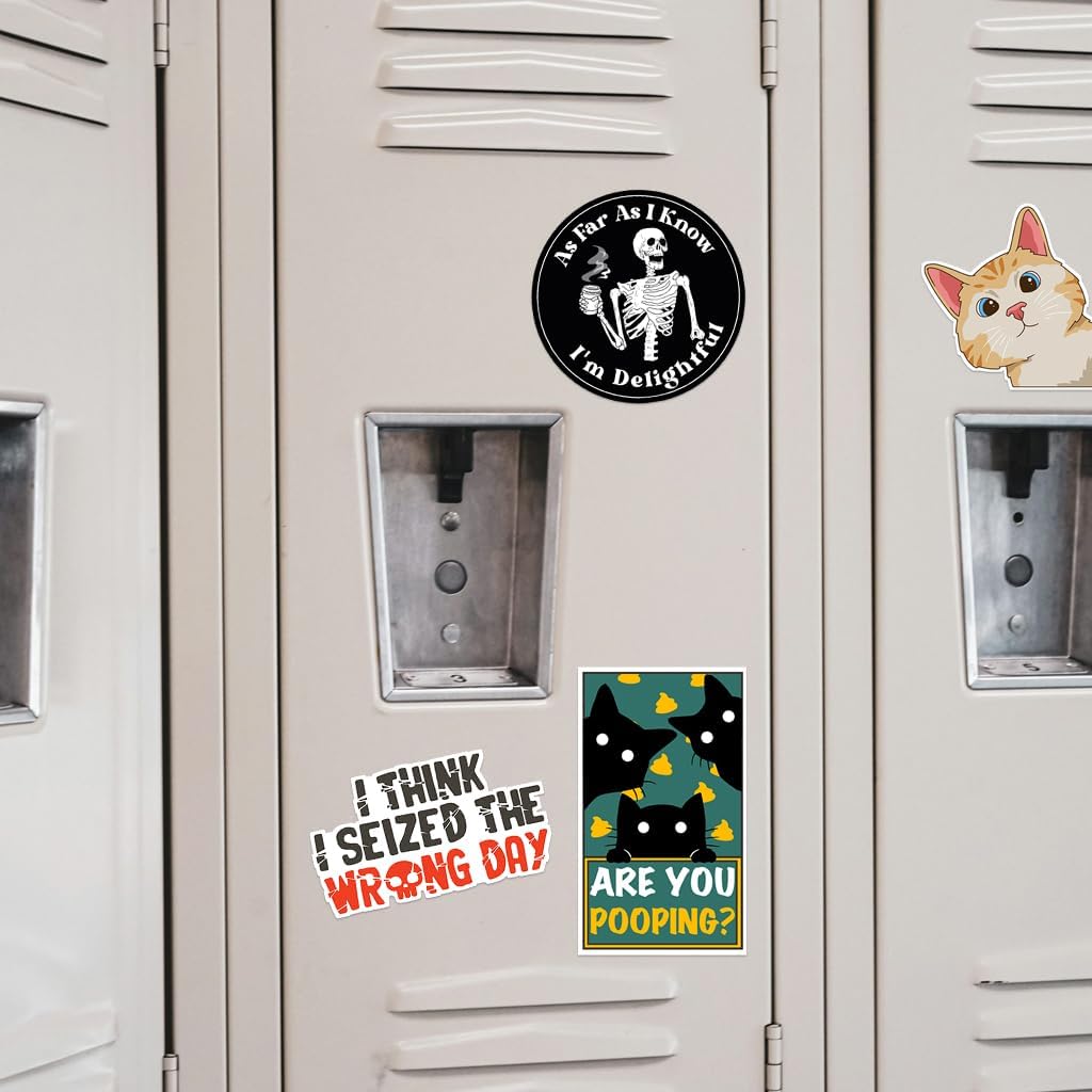 123PCS Stickers Pack for Adults, Women, Nurses, Bulk Sarcastic Sticker Pack for Water Bottles, Laptop, Bumper, Phone, Window Bumper Humor Joke Vinyl Waterproof