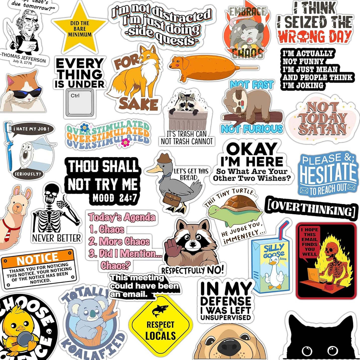 123PCS Stickers Pack for Adults, Women, Nurses, Bulk Sarcastic Sticker Pack for Water Bottles, Laptop, Bumper, Phone, Window Bumper Humor Joke Vinyl Waterproof