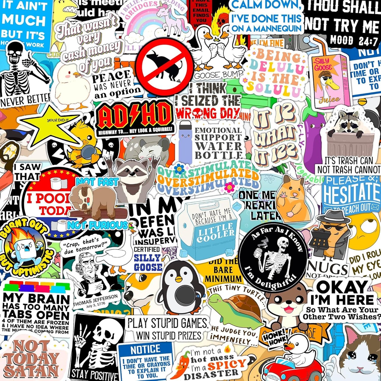 123PCS Stickers Pack for Adults, Women, Nurses, Bulk Sarcastic Sticker Pack for Water Bottles, Laptop, Bumper, Phone, Window Bumper Humor Joke Vinyl Waterproof