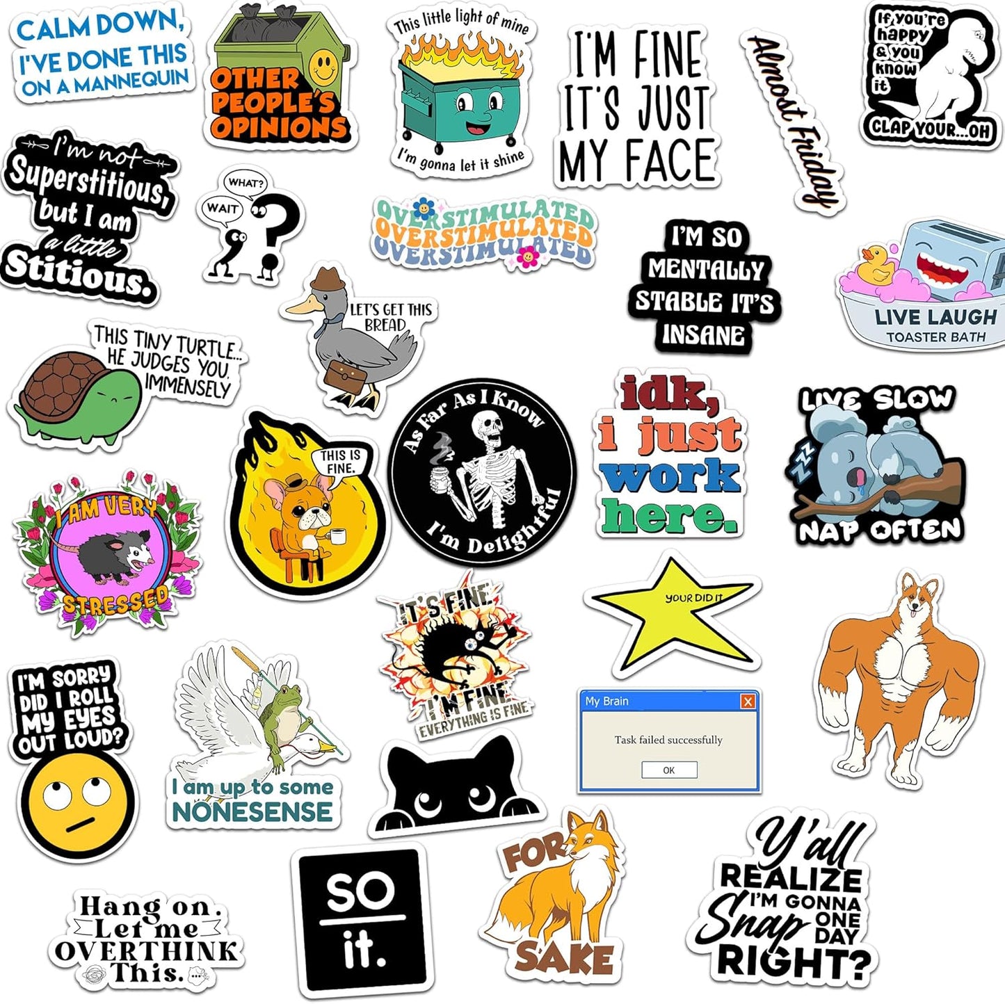 73 Pcs Funny Stickers for Adults Dirty Humor, Water Bottles Waterproof Cool Stickers for Laptop, Bumper, Phone, Hard Hats, Sarcastic, Scrapbooking (73)