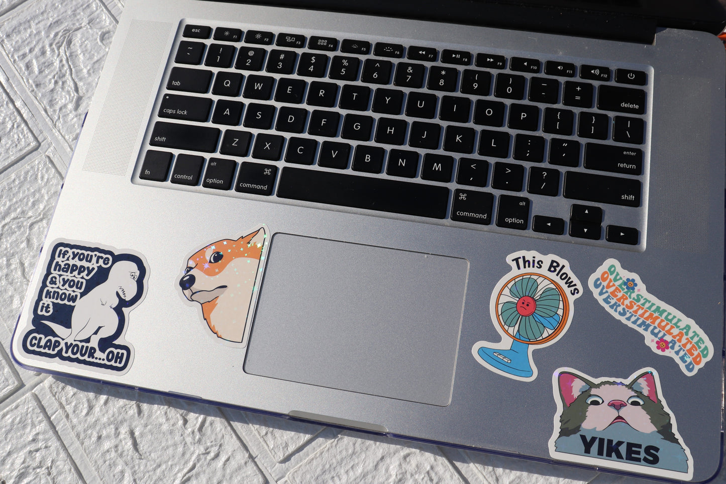 225PCS Funny Holographic Stickers for Adults, Waterproof Vinyl Pack Sarcastic Relatable Meme Decals for Laptop, Water Bottle, Phone, Kindle, Journal, Scrapbooking, No Repeats (225PC Hot Mess)