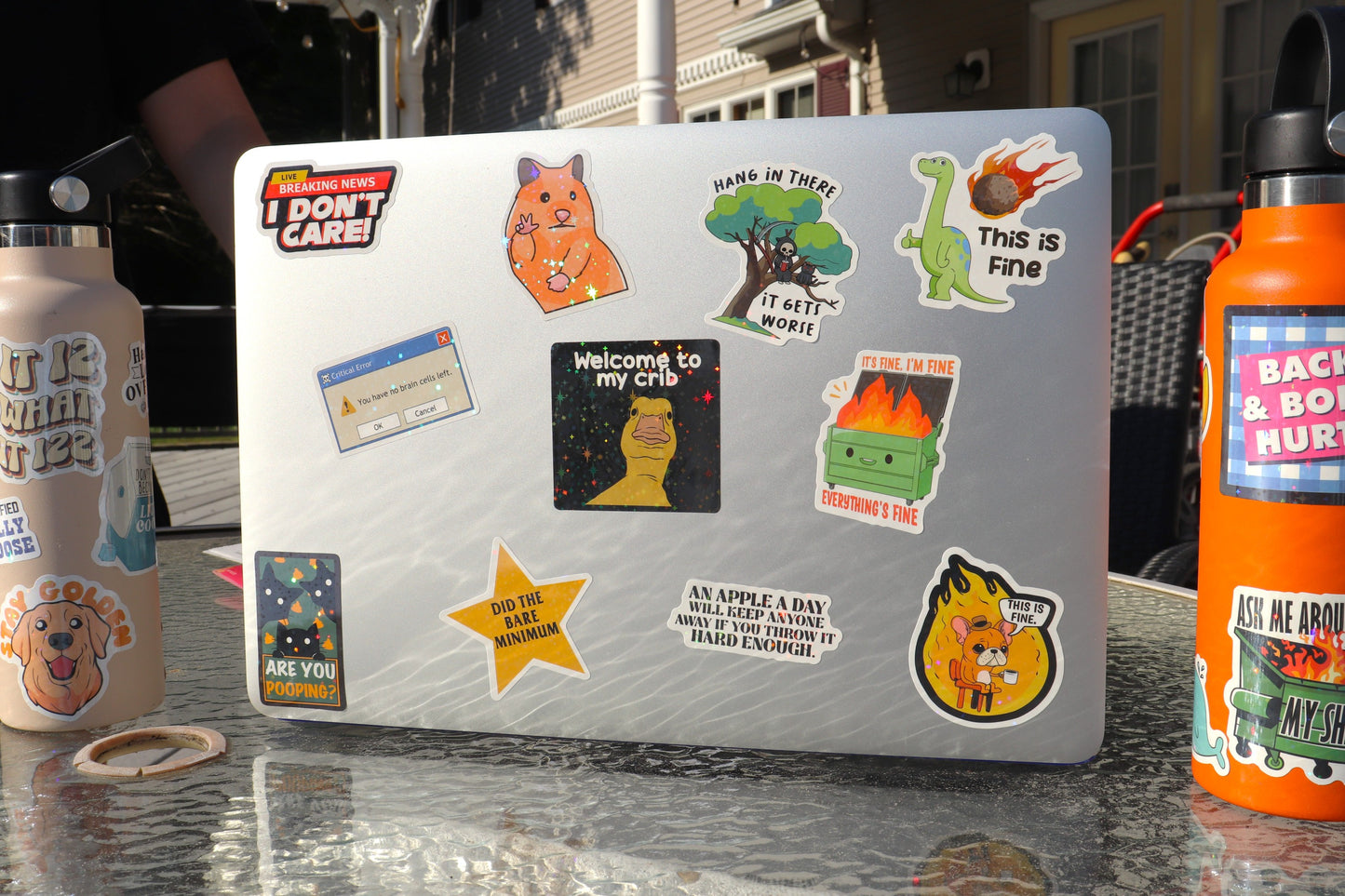 225PCS Funny Holographic Stickers for Adults, Waterproof Vinyl Pack Sarcastic Relatable Meme Decals for Laptop, Water Bottle, Phone, Kindle, Journal, Scrapbooking, No Repeats (225PC Hot Mess)