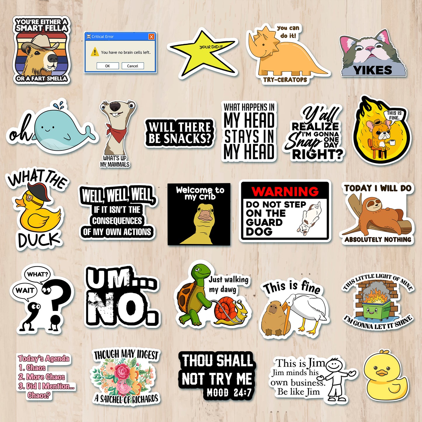 225PCS Funny Holographic Stickers for Adults, Waterproof Vinyl Pack Sarcastic Relatable Meme Decals for Laptop, Water Bottle, Phone, Kindle, Journal, Scrapbooking, No Repeats (225PC Hot Mess)