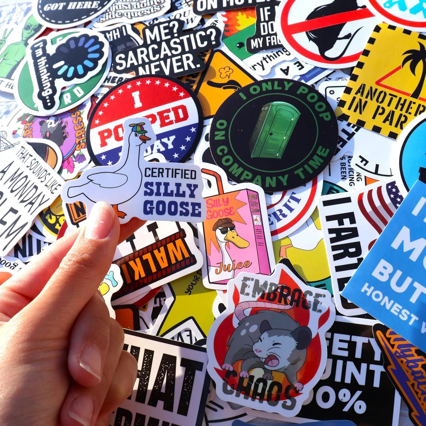 200 Adult Humor Meme Stickers – Waterproof Vinyl Decals for Water Bottles, Laptops & Hard Hats