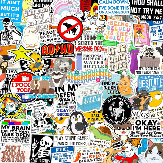 123PCS Stickers Pack for Adults, Women, Nurses, Bulk Sarcastic Sticker Pack for Water Bottles, Laptop, Bumper, Phone, Window Bumper Humor Joke Vinyl Waterproof