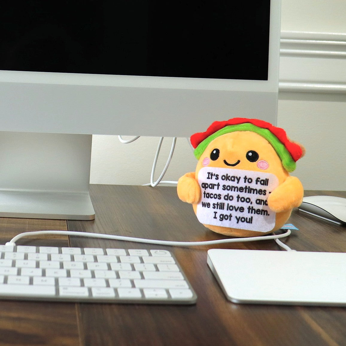 ScoopUp Squad Plush Taco - Positive Birthday Gift for Women Men Teacher, ScoopUp Squad Uplifting Affirmation with 30 Cards, Emotional Funny Supportive Messages for Friends, Family, Coworker