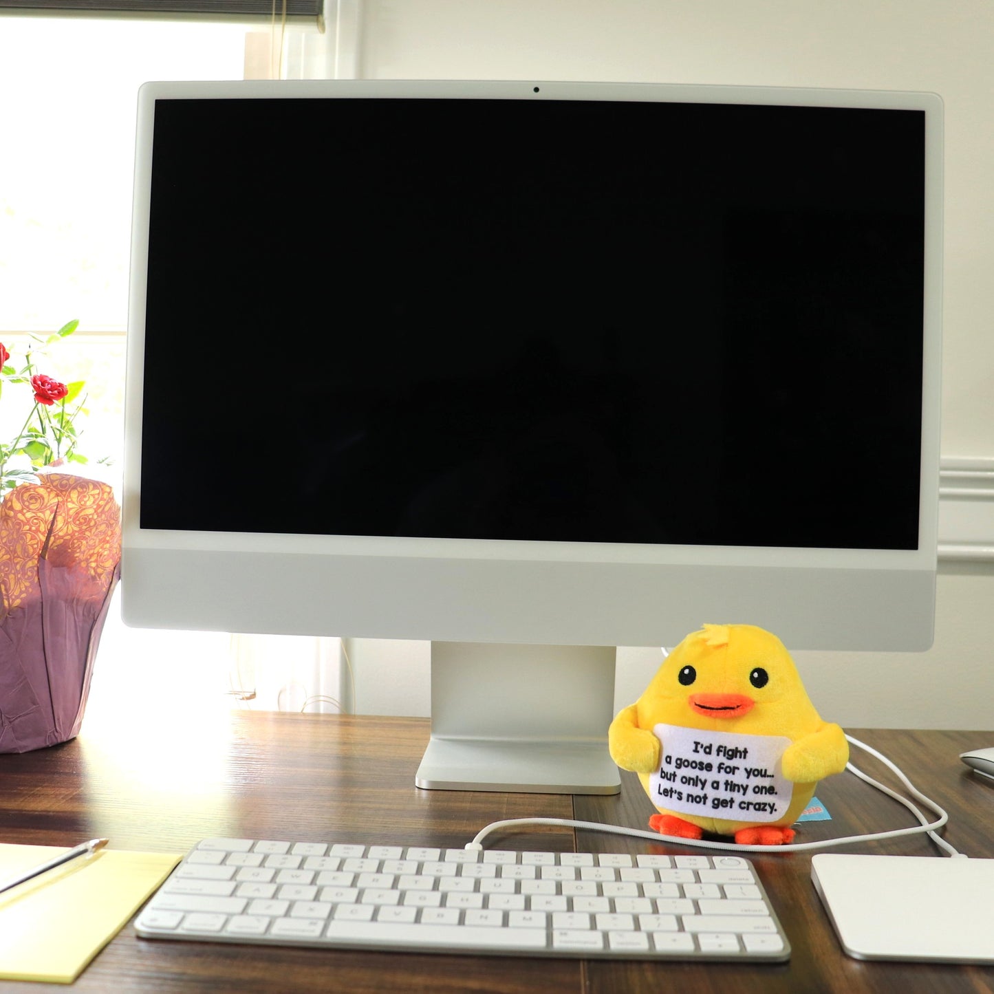 ScoopUp Squad Plush Duck - Positive Birthday Gift for Women Men Teacher, ScoopUp Squad Uplifting Affirmation with 30 Cards, Emotional Funny Supportive Messages for Friends, Family, Coworker