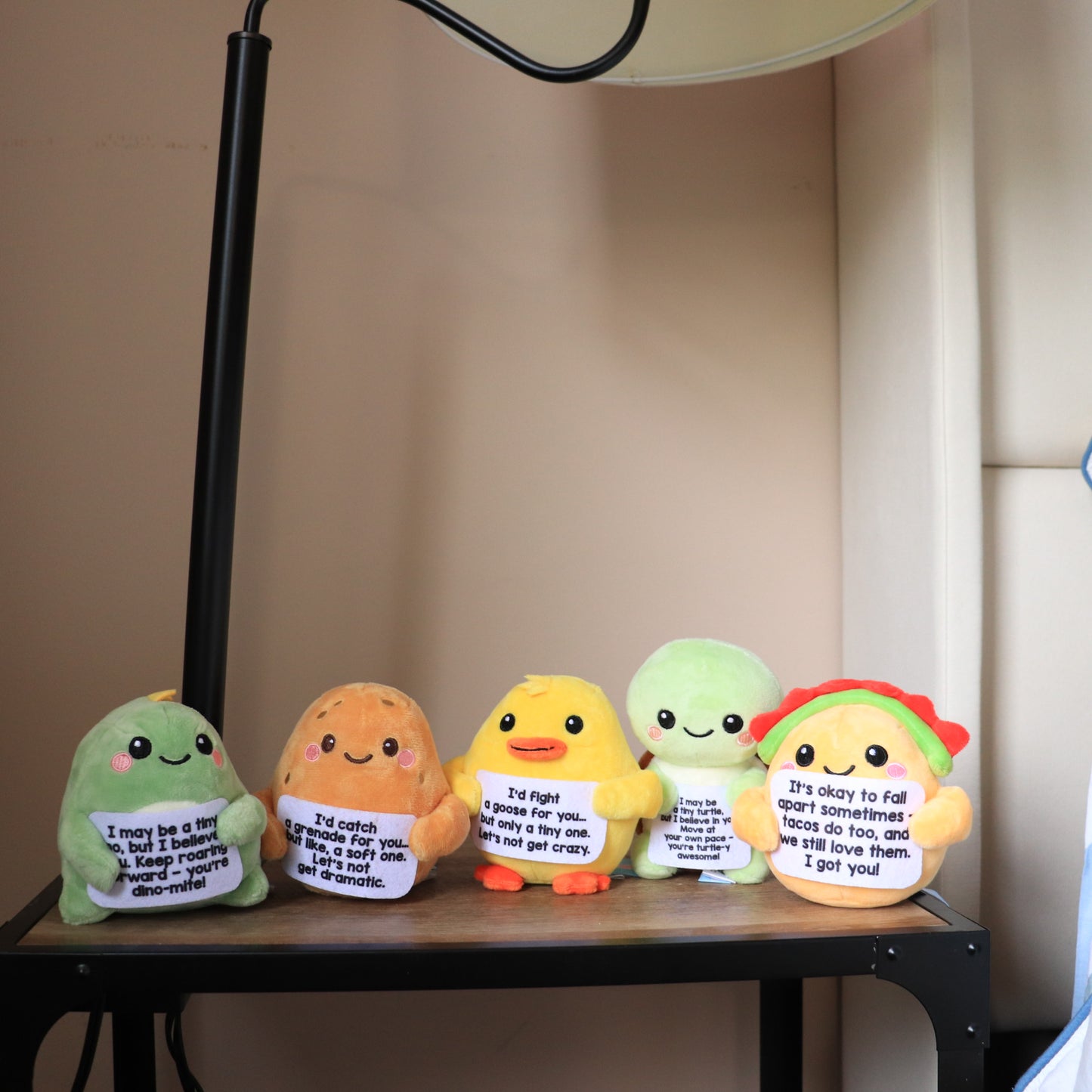ScoopUp Squad Plush Taco - Positive Birthday Gift for Women Men Teacher, ScoopUp Squad Uplifting Affirmation with 30 Cards, Emotional Funny Supportive Messages for Friends, Family, Coworker