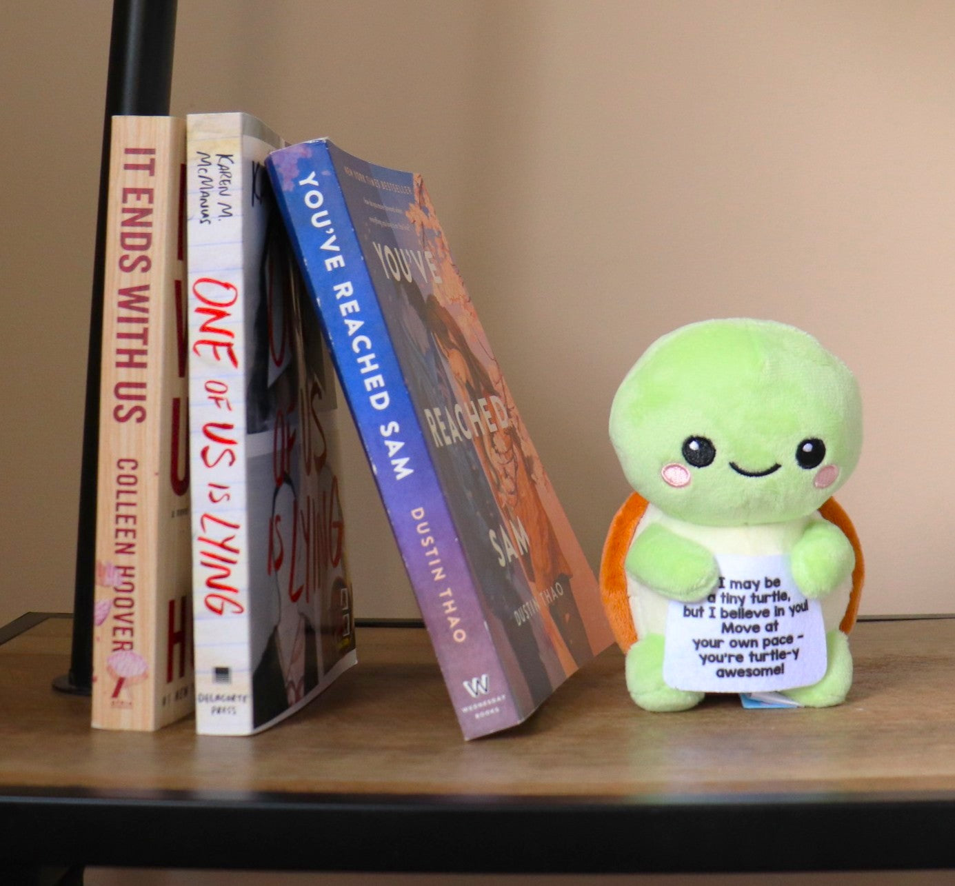 ScoopUp Squad Plush Turtle - Positive Birthday Gift for Women Men Teacher, ScoopUp Squad Uplifting Affirmation with 30 Cards, Emotional Funny Supportive Messages for Friends, Family, Coworker