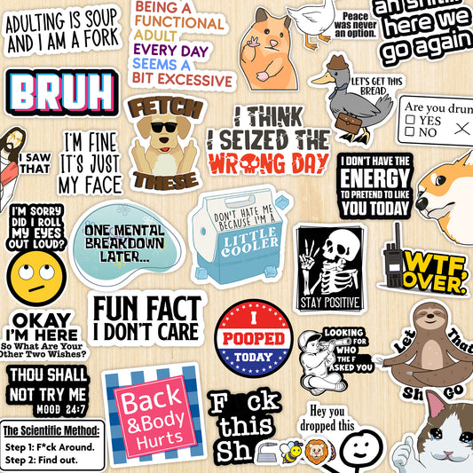 130 Pcs Funny Saying Stickers for Adults Quote Water Bottles Stickers Pack Waterproof Cool Accessory for Laptop, Bumper, Phone, Hard Hats, Wall, Window Decals